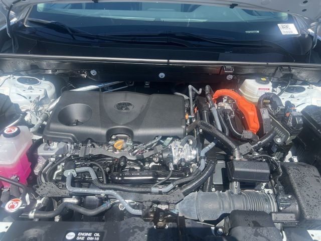 2023 Toyota RAV4 Hybrid Woodland Edition