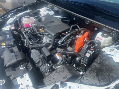 2023 Toyota RAV4 Hybrid Woodland Edition