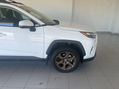 2023 Toyota RAV4 Hybrid Woodland Edition