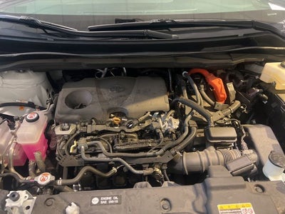 2025 Toyota Sienna LE 8 Passenger