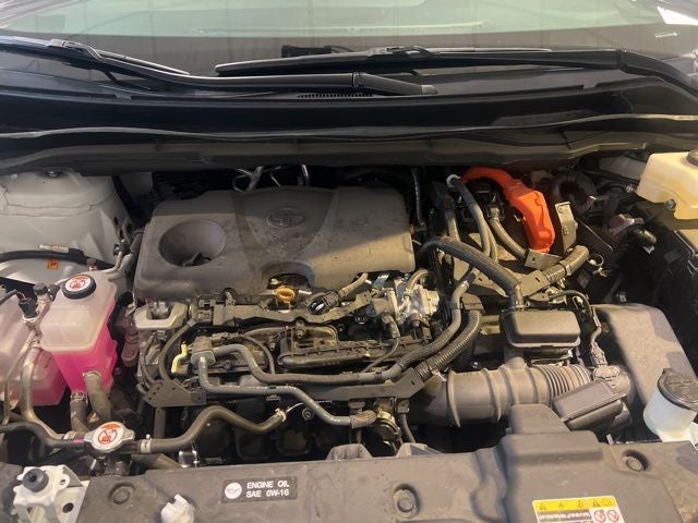 2025 Toyota Sienna LE 8 Passenger