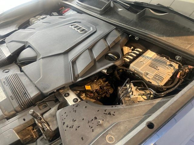 2020 Audi Q8 55 Premium Plus quattro