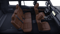 2026 Toyota Land Cruiser Land Cruiser